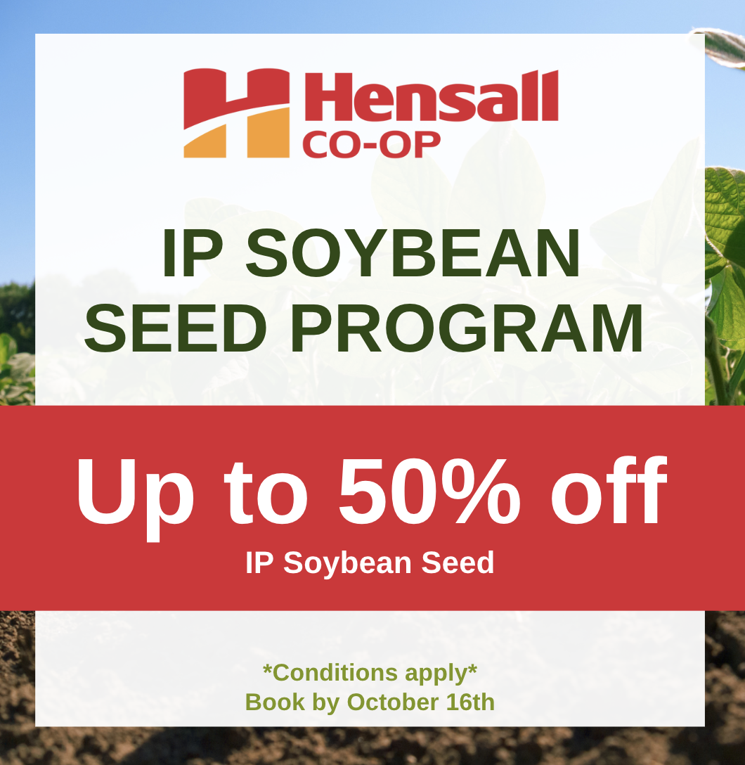 IP Program - September 2023